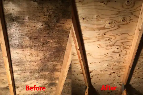 water damage restoration service Kettering